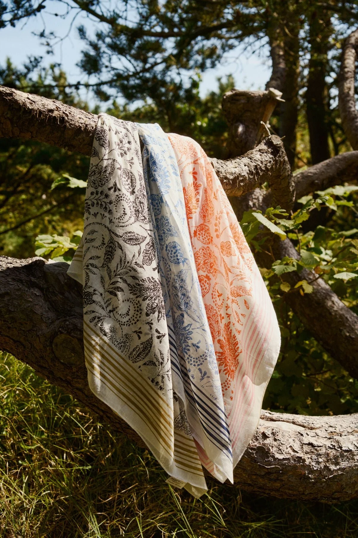 Louipw Scarf Marina Paisley Print - Image 4
