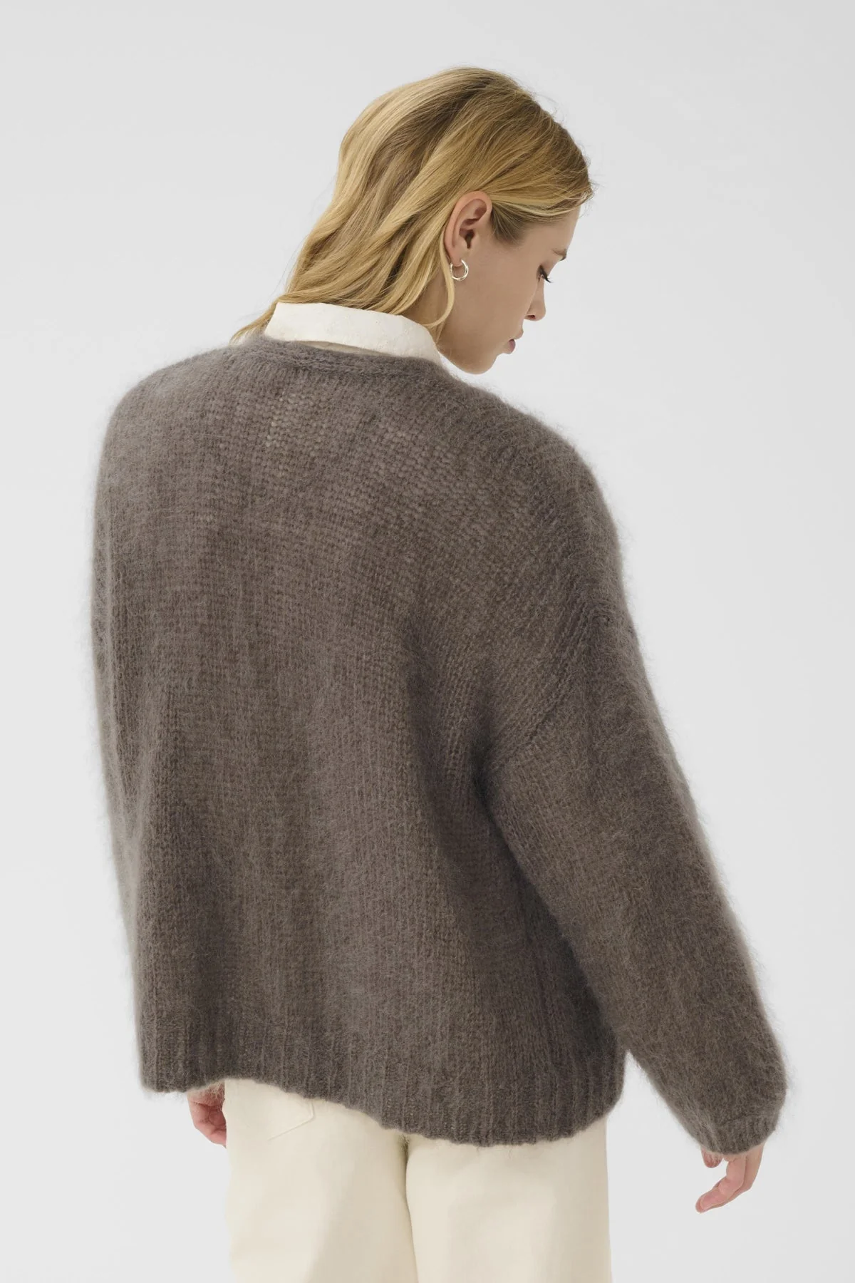 Rastina Cardigan Falcon - Image 8