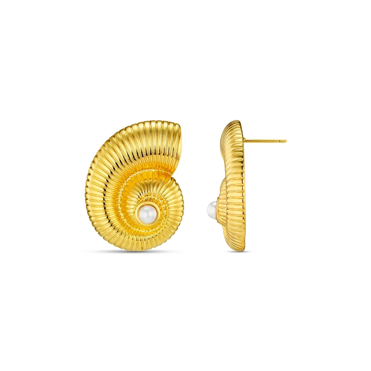 Textured Ammonite Statement Stud Pale Gold