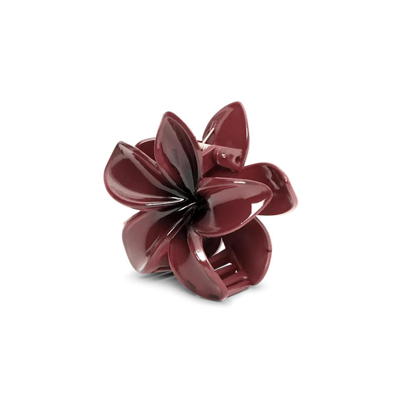 Plumeria Berry Big Burgundy